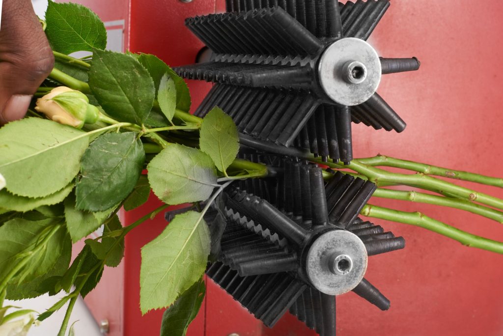 Floriculture-Flower-Defoliator-2